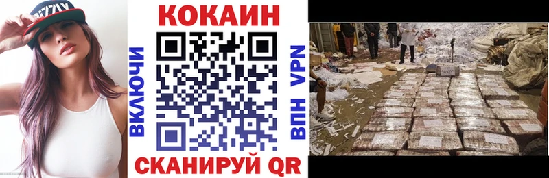 продажа наркотиков  Шенкурск  мориарти какой сайт  COCAIN FishScale 