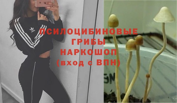 spice Зеленокумск